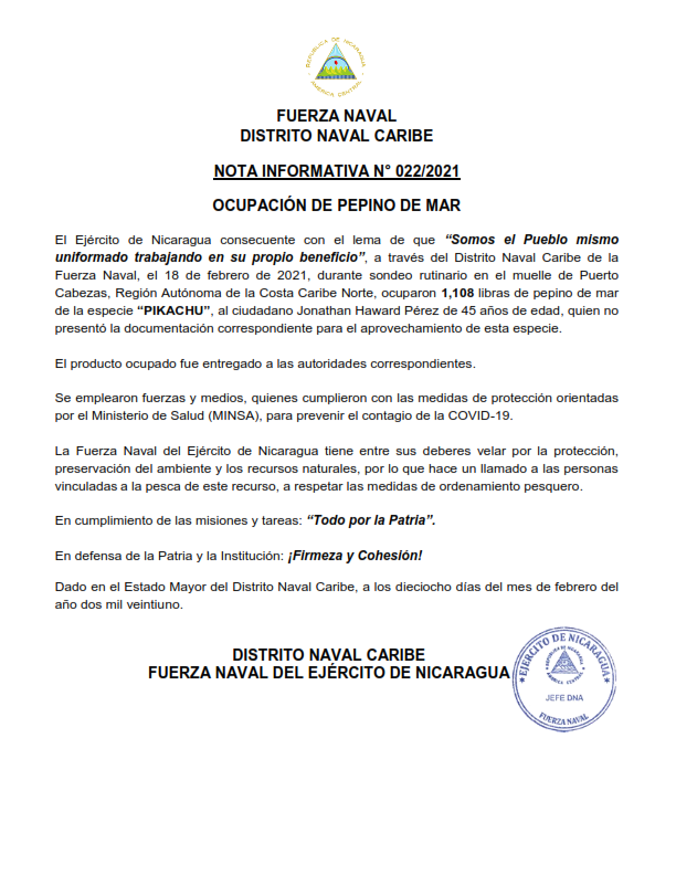pepino-mar